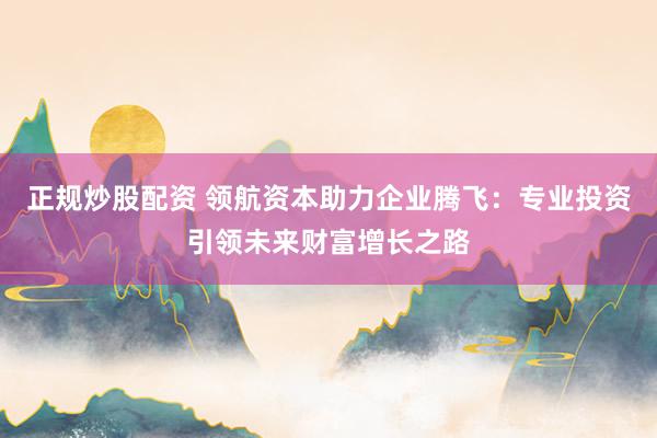 正規(guī)炒股配資 領(lǐng)航資本助力企業(yè)騰飛：專業(yè)投資引領(lǐng)未來財富增長之路