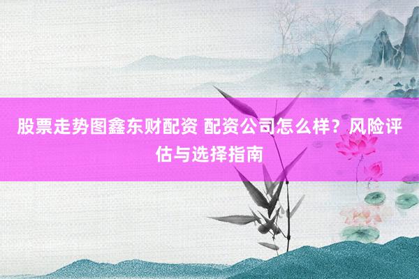 股票走勢(shì)圖鑫東財(cái)配資 配資公司怎么樣？風(fēng)險(xiǎn)評(píng)估與選擇指南
