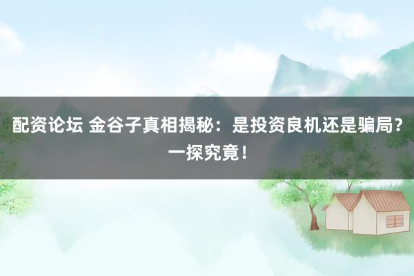 配資論壇 金谷子真相揭秘：是投資良機(jī)還是騙局？一探究竟！