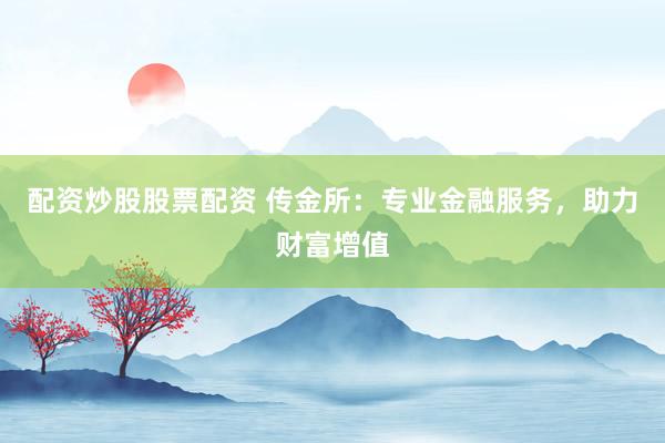 配資炒股股票配資 傳金所：專業(yè)金融服務(wù)，助力財(cái)富增值