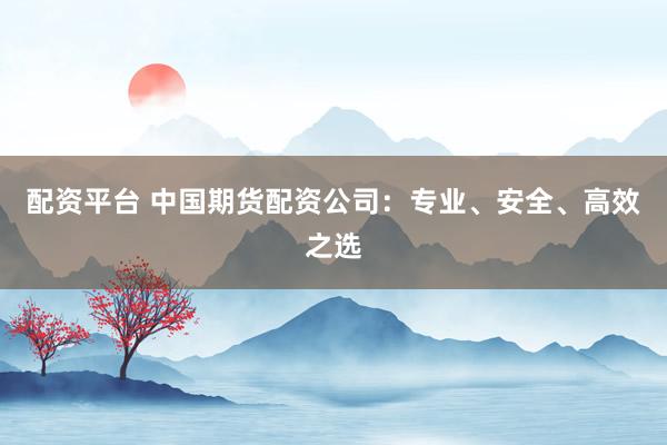 配資平臺 中國期貨配資公司：專業(yè)、安全、高效之選