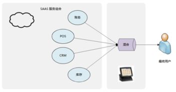 中小服飾企業(yè)應(yīng)該選麗晶軟件的哪種erp合適